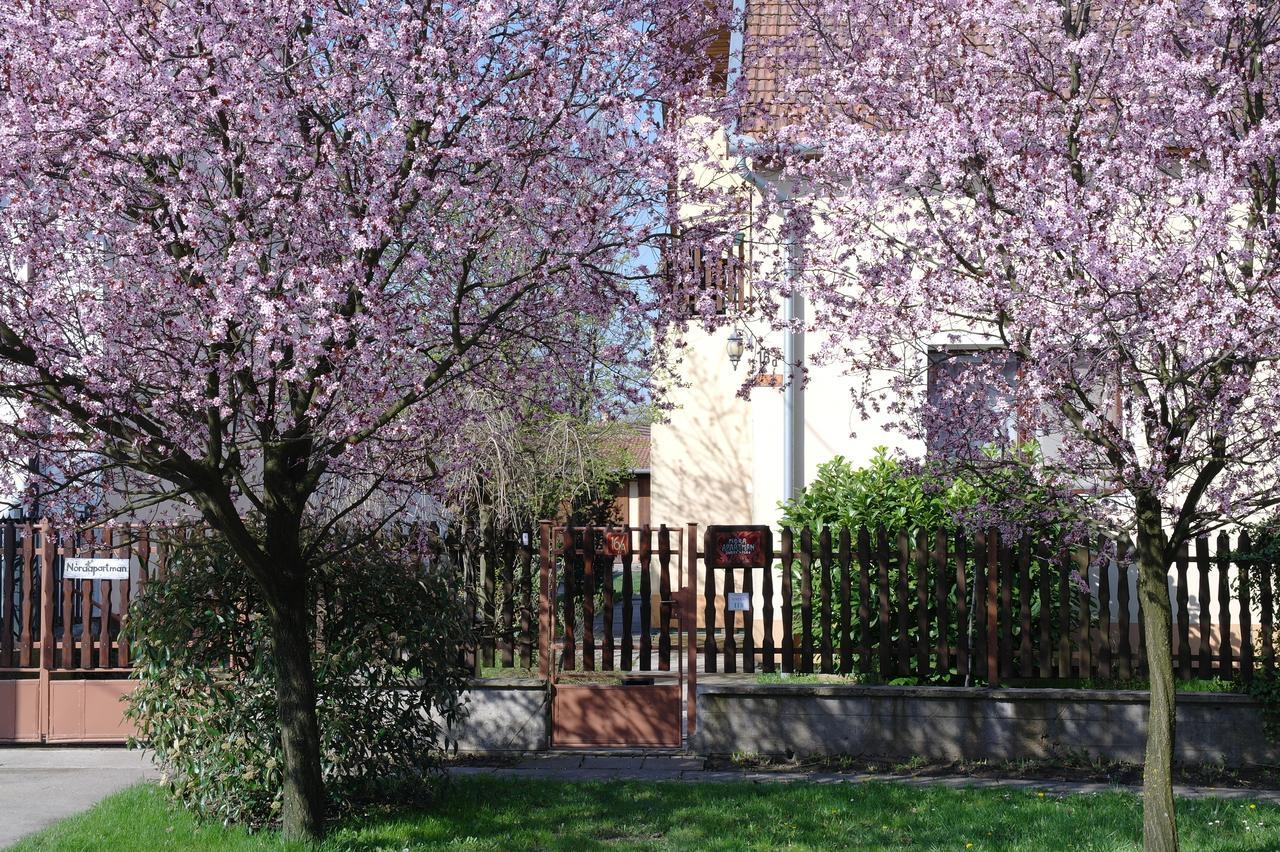 Nora Apartman Gyula Exteriér fotografie